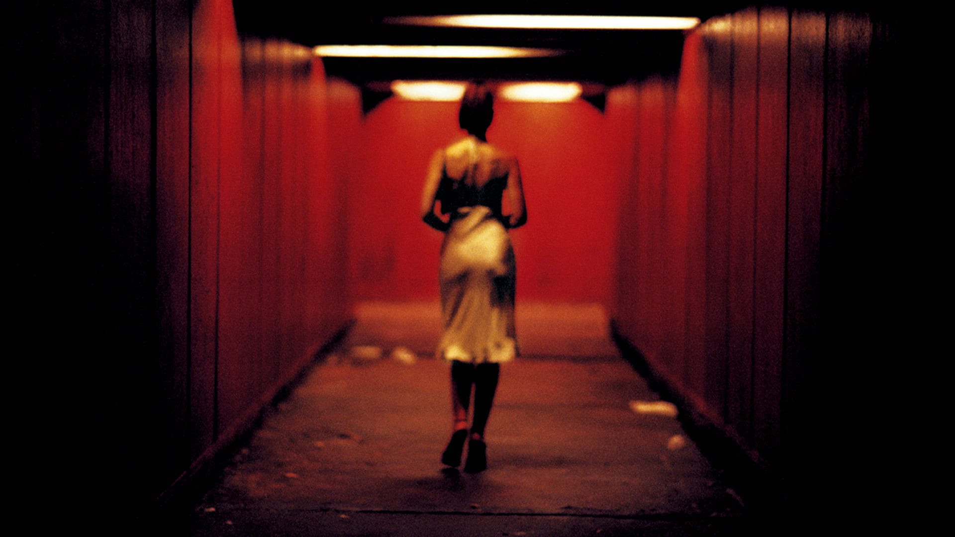 تحلیل فیلم Irreversible