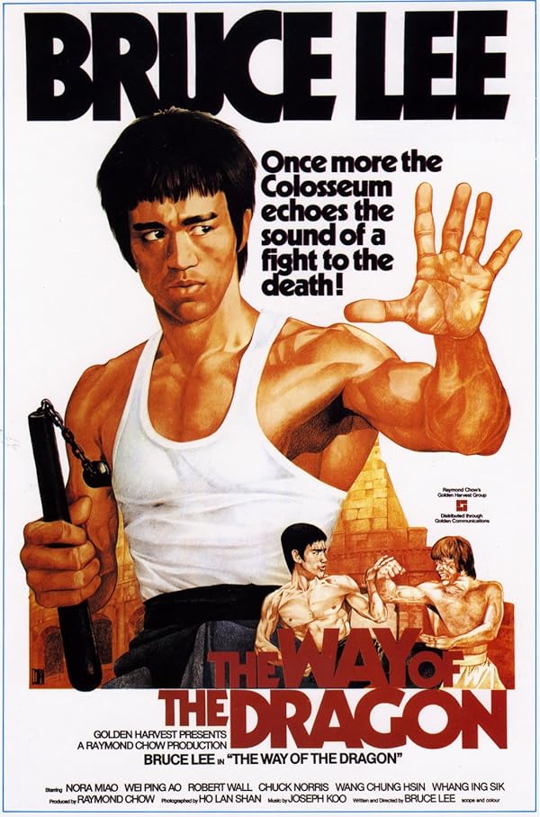 دانلود فیلم The Way of the Dragon 1972 دانلود فیلم The Way of the Dragon 1972