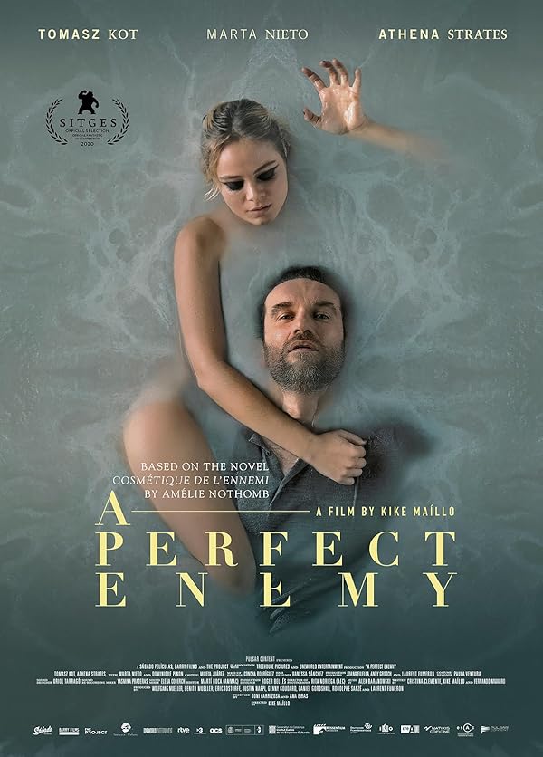 دانلود فیلم A Perfect Enemy 2020 دانلود فیلم A Perfect Enemy 2020