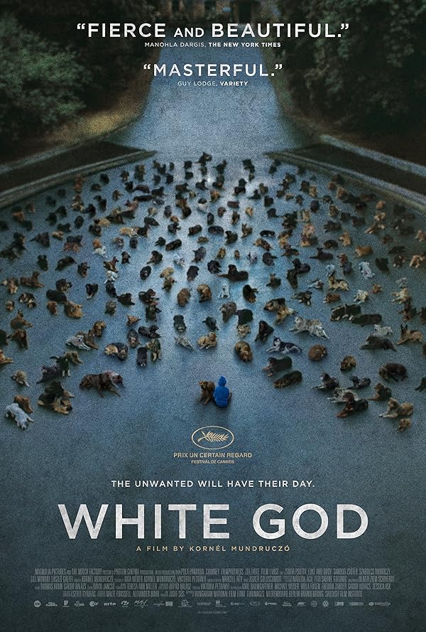 دانلود فیلم White God 2014 دانلود فیلم White God 2014