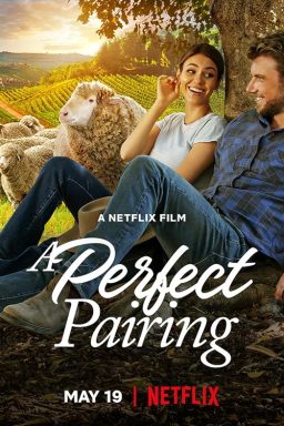 دانلود فیلم A Perfect Pairing 2022