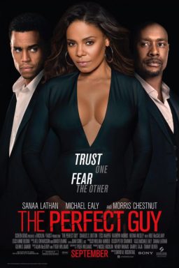 دانلود فیلم The Perfect Guy 2015