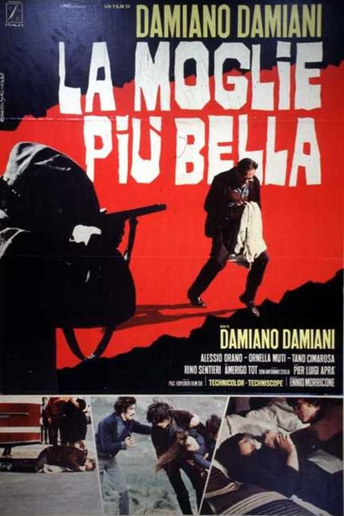 دانلود فیلم The Most Beautiful Wife 1970 دانلود فیلم The Most Beautiful Wife 1970
