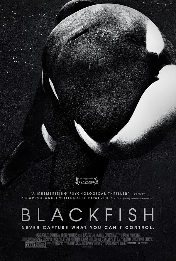 دانلود مستند Blackfish 2013 دانلود مستند Blackfish 2013