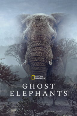 دانلود مستند Ghost Elephants 2025